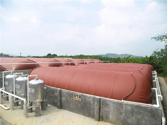 軟體紅泥（ní）沼氣袋徐（xú）寨牛楊（yáng）樓畜禽養殖案例分享